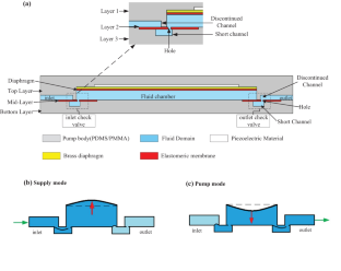 Piezoelectric micropump with integrated elastomeric check valves: design, performance characterization and primary application for 3D cell culture