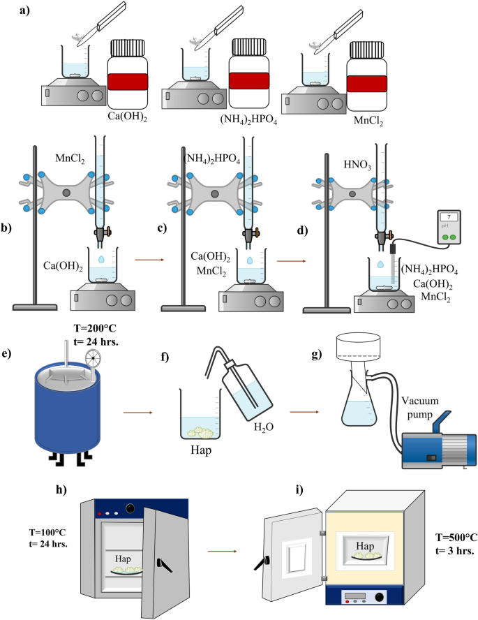 Biocompatibility analysis and chemical characterization of Mn-doped hydroxyapatite