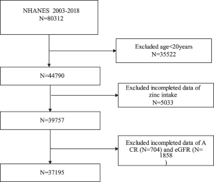 Association Between Dietary Zinc Intake and Increased Renal Function in US Adults.