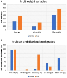 Supplementary manual pollination: a potential technology to enhance the yield and quality in white fleshed dragon fruit variety