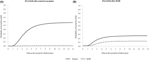 Probability of second live birth after first natural and medically assisted reproduction-mediated live birth: A historical cohort study