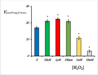 Effect of H<sub>2</sub>O<sub>2</sub> on Na,K-ATPase.