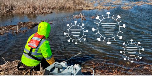 Environmental Surveillance and Detection of Infectious Highly Pathogenic Avian Influenza Virus in Iowa Wetlands