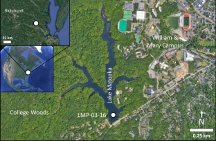 Trends in sedimentary charcoal shapes correspond with broad-scale land-use changes: insights gained from a 300-year lake sediment record from eastern Virginia, USA