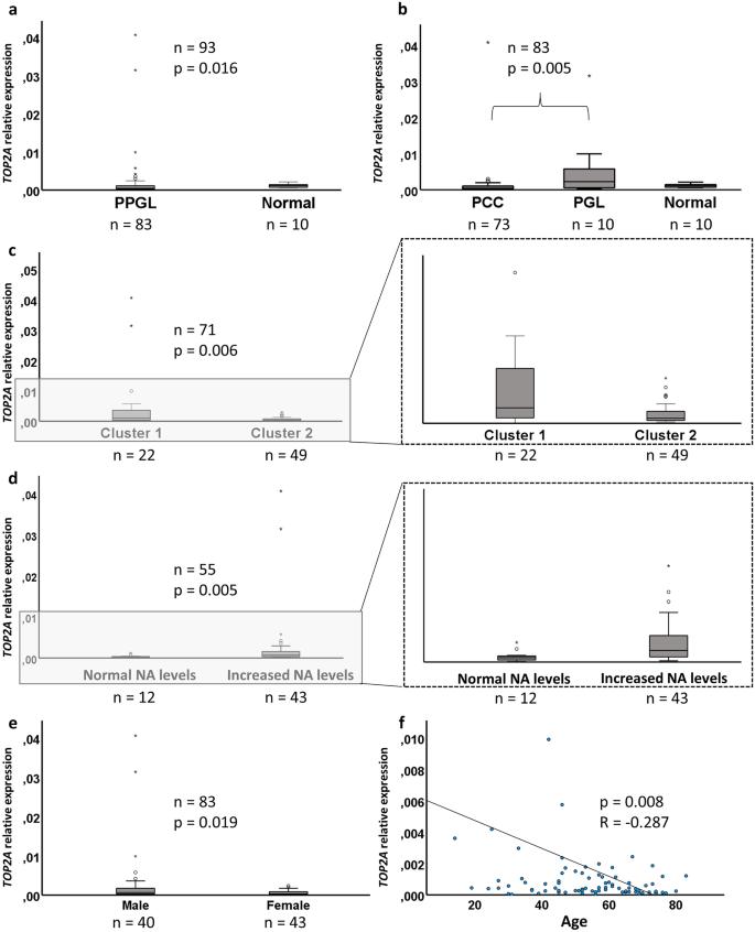 TOP2A Expression in Pheochromocytoma and Abdominal Paraganglioma: a Marker of Poor Clinical Outcome?