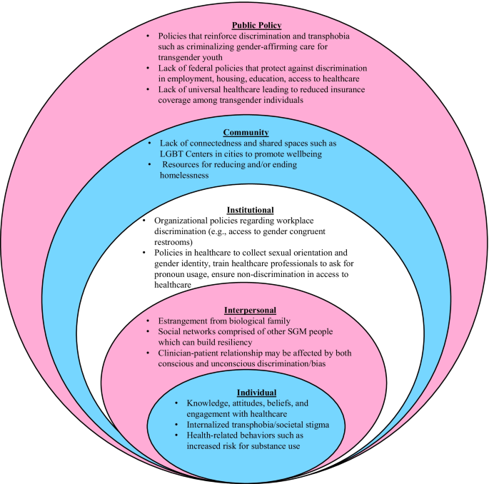 Diagnosis, Treatment, and Prevention of Stroke in Transgender Adults