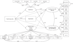 Examining Pathways from Food Insecurity to Safer Sex Efficacy Among Northern and Indigenous Adolescents in the Northwest Territories, Canada.