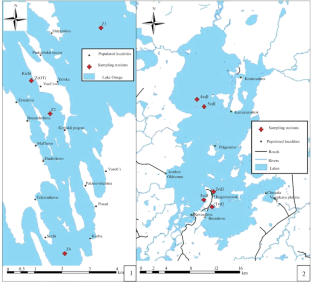 Microplastic Concentrations in Bottom Sediments of the Lakes of Specially Protected Natural Territories: Case Study of the Kizhskie Skerries, Lake Onega and Vodlozero Lake