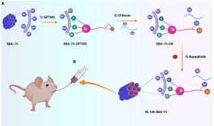 Chitosan conjugated-ordered mesoporous silica: a biocompatible dissolution enhancer for promoting the antidiabetic effect of a poorly water-soluble drug of repaglinide