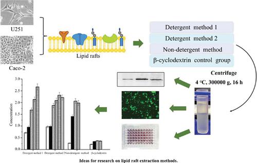 Extraction and analysis of lipid raft proteins with detergent-and non detergent-based method