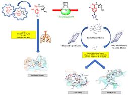 New nitazoxanide derivatives: design, synthesis, biological evaluation, and molecular docking studies as antibacterial and antimycobacterial agents†