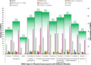 Nonribosomal peptide synthetase gene clusters and characteristics of predicted NRPS-dependent siderophore synthetases in Armillaria and other species in the Physalacriaceae.