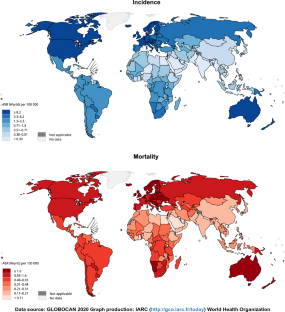 Global Incidence, Mortality, Risk Factors and Trends of Melanoma: A Systematic Analysis of Registries