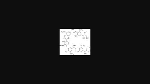 Polymer properties of softwood organosolv lignins produced in two different reactor systems