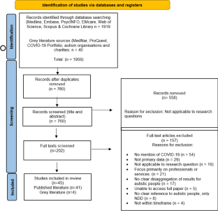 Autistic People and Telehealth Practice During the COVID-19 Pandemic: a Scoping Review