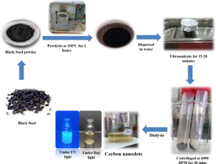 Luminous Insights: Harnessing Carbon Nanodots from Black Seed Powder via Pyrolysis for Bioimaging and Antifungal Investigations.