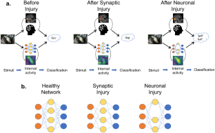 Dementia in Convolutional Neural Networks: Using Deep Learning Models to Simulate Neurodegeneration of the Visual System.