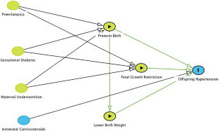 Antenatal Programming of Hypertension: Paradigms, Paradoxes, and How We Move Forward.