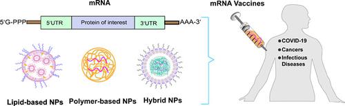 The clinical progress and challenges of mRNA vaccines.