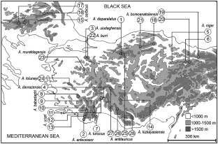 Taxonomy of the rear-edge populations: the case of genus Anterastes (Orthoptera, Tettigoniidae)