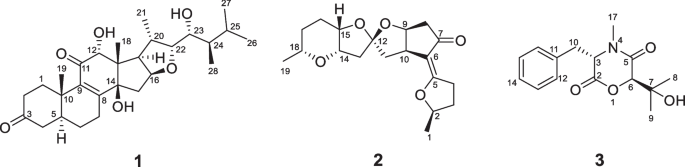 Three previously undescribed metabolites from Cordyceps cicadae JXCH-1, an entomopathogenic fungus