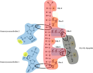 The First Nucleic Acid Strands May Have Grown on Peptides via Primeval Reverse Translation