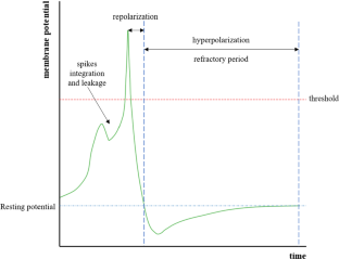 A hierarchical taxonomic survey of spiking neural networks