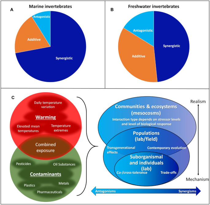 Interactive Effects of Warming and Pollutants on Marine and Freshwater Invertebrates