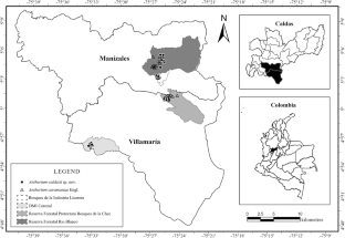 Anthurium Caldasii: a new species of Araceae from Colombia and its phylogenetic relationships with other black-spathed Anthurium species