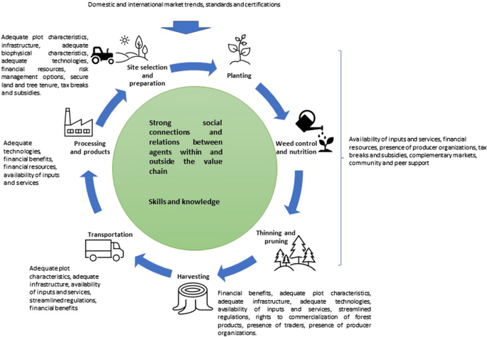 Conditions that Enable Successful Participation of Smallholder Tree Growers in Timber Value Chains