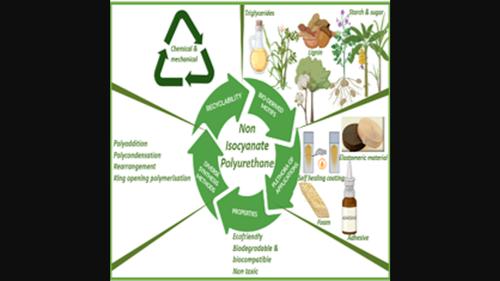 Innovations in applications and prospects of non-isocyanate polyurethane bioplastics