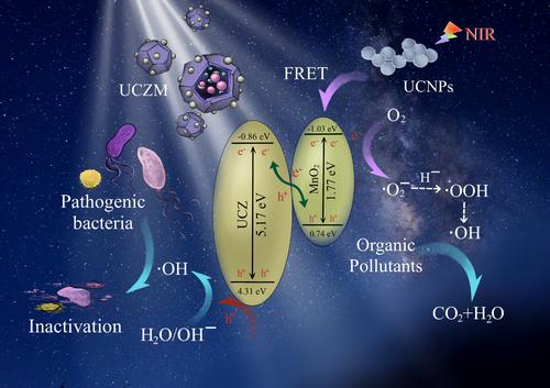 NaGdF4:Yb,Er@ZIF-8/MnO2 for photocatalytic removal of organic pollutants and pathogenic bacteria