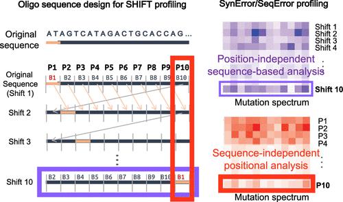 Highly Accurate Sequence- and Position-Independent Error Profiling of DNA Synthesis and Sequencing