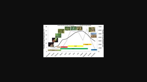 Phenological growth stages of Gleditsia sinensis Lam. (Fabaceae) using the extended BBCH scale