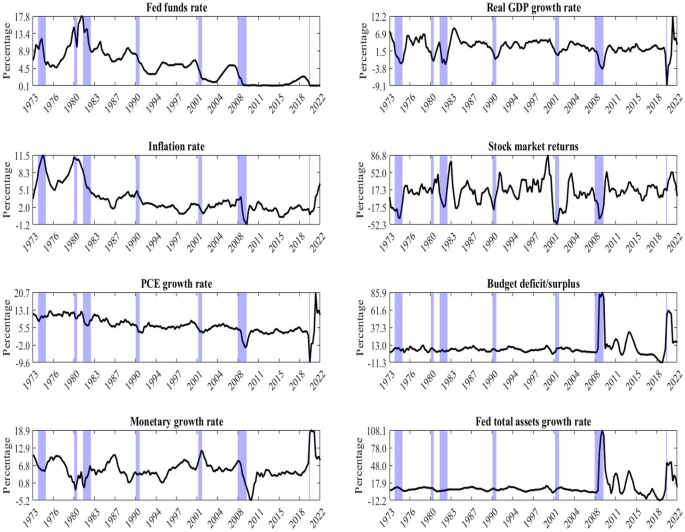 Macroeconomic Fluctuations in the United States: The Role of Monetary and Fiscal Policy Shocks