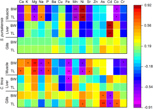 Bioaccumulation of Metals in Various Tissues of Fish Species in Relation to Fish Size and Gender and Health Risk Assessment