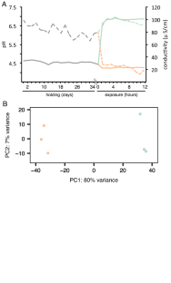 Gill transcriptome of the yellow peacock bass (Cichla ocellaris monoculus) exposed to contrasting physicochemical conditions