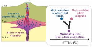 Fluid-melt Mo isotope fractionation: implications for the δ98/95Mo of the upper crust