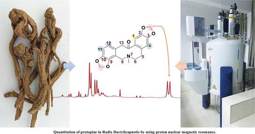 Application of a Quantitative Proton Nuclear Magnetic Resonance Method for the Determination of Protopine in Radix Dactylicapnotis