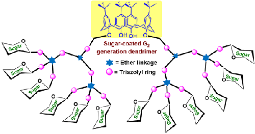 Synthesis of Calix[4]arene Appended Lactosylated G 1 and Galactosylated G 2 Generation Glycodendrimers using a ‘CuAAC’ Click Approach