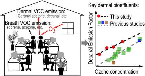 Emissions of Volatile Organic Compounds from Human Occupants in a Student Office: Dependence on Ozone Concentration