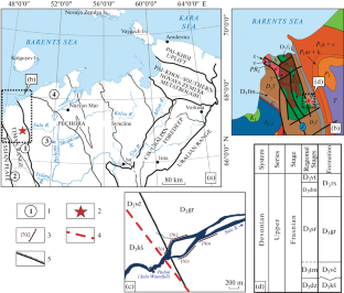 Compositional Peculiarities of the Upper Devonian Coaly Rocks (The Sula River Section, North Timan)