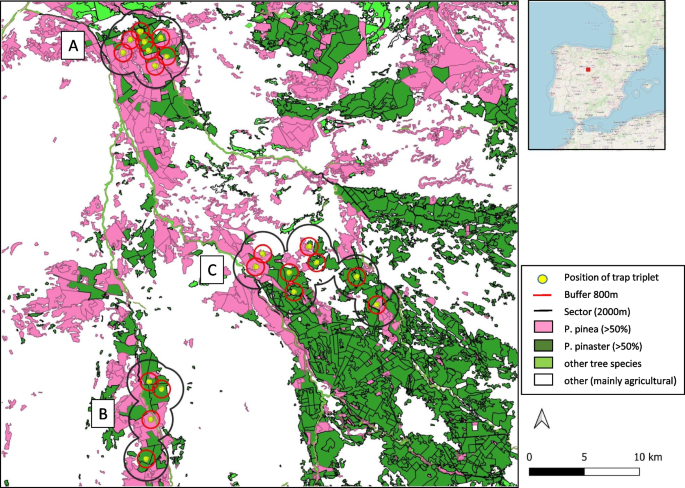 Pinus pinea: a natural barrier for the insect vector of the pine wood nematode?