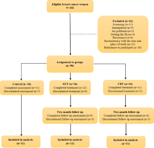 Comparing the Mechanism of Change of Cognitive-Behavioral Therapy and Emotion Efficacy Therapy in Improving Psychological Adjustment of Women with Breast Cancer: the Role of Cognitive and Emotional Flexibility, Illness Perception, and Valued Action