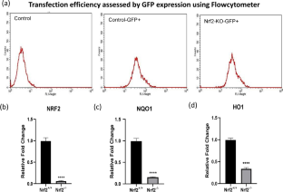 Quantitative proteomic analyses uncover regulatory roles of Nrf2 in human endothelial cells.