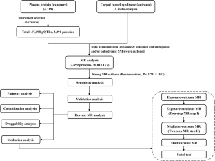 Screening Plasma Proteins for the Putative Drug Targets for Carpal Tunnel Syndrome.