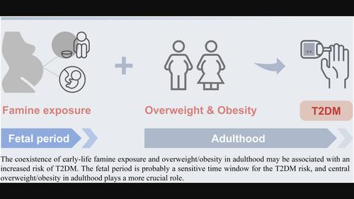 Associations of concurrent early-life famine exposure and adulthood obesity with type 2 diabetes mellitus in middle-aged Chinese