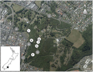 Older, but not wiser: social wasp colony defensive behavior decreases with time, not experience