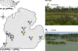 Created wetlands support similar communities of low conservation value as established wetlands in Michigan