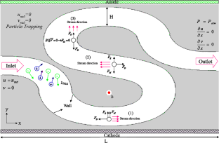 A numerical investigation for lithium extraction from the seawater using hydrodynamic and electromagnetic fields effects in multi-S-shaped channel